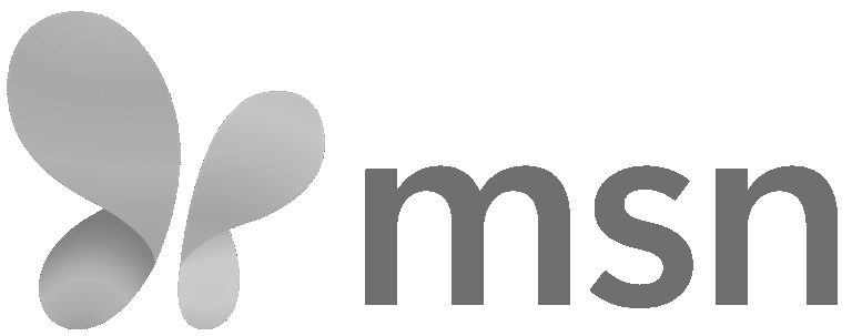 2024_new_msn_logo_gris